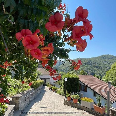 La Casa Di Gloria - Residence Affitta Camere Badia Prataglia Zewnętrze zdjęcie