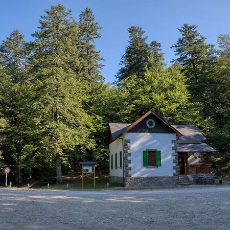 La Casa Di Gloria - Residence Affitta Camere Badia Prataglia Zewnętrze zdjęcie